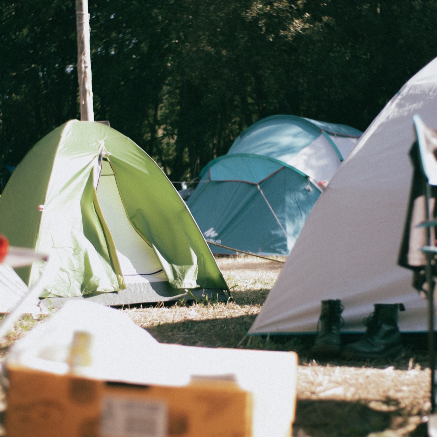 Tents pitched between trees in an encampment.